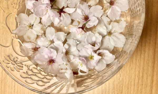 桜を浮かべてみました・