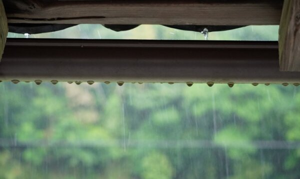 雨の日の楽しみを見つけよう