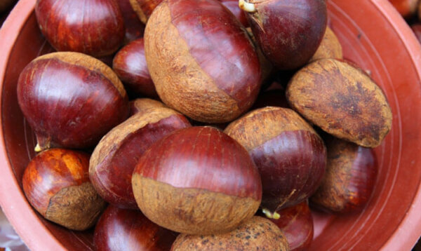 食欲の秋！栗
