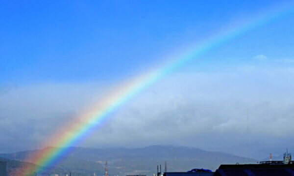 レインボー