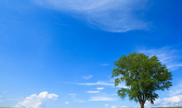 手厚いサポート