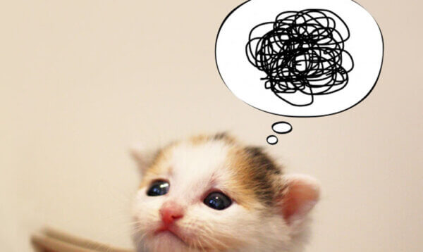 不安　もやもや