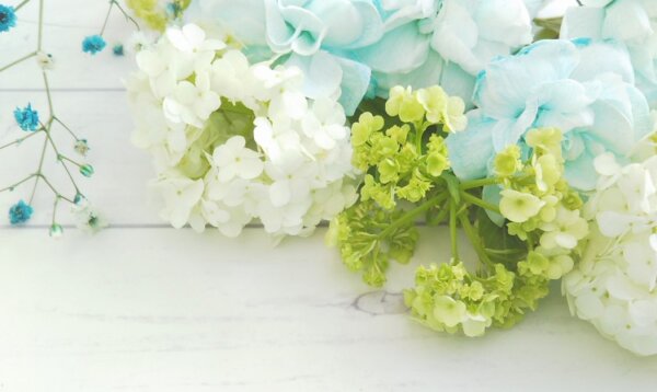 もうすぐ梅雨の時期