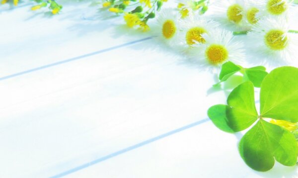 雑草　ボタニカル