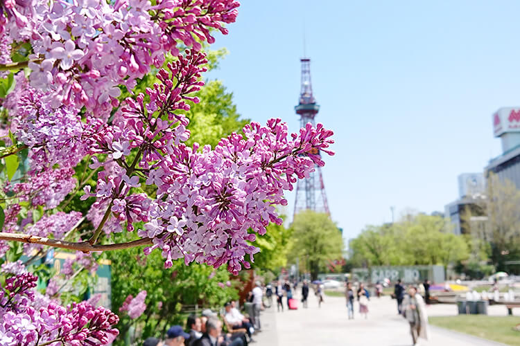 花粉症はつらいよ しごと計画コラム しごと計画学校