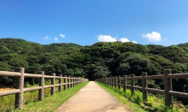 これからどう動く