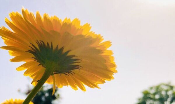 楽しい夏にしよう