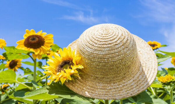 ひまわり　麦わら帽子