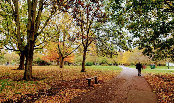 秋の公園