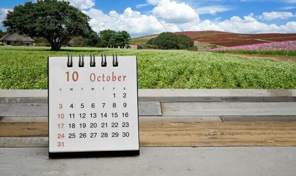 10月のスケジュール