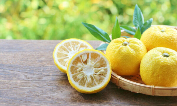 ゆず　柚子　ユズ