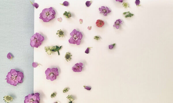 花　挨拶　手紙