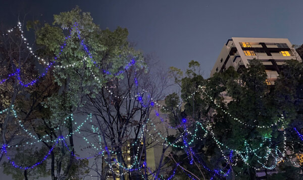 イルミネーション