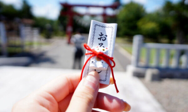 初詣　おみくじ　参拝