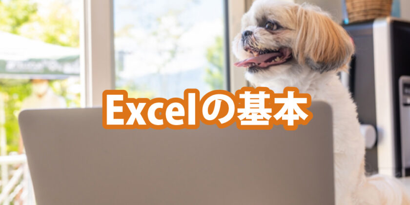 しごと計画学校高松校 登録者限定!初心者向け実演セミナーExcelの基本を学びましょう